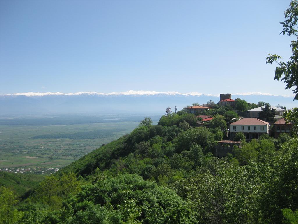 Maya Guest House Сигнахи Екстериор снимка